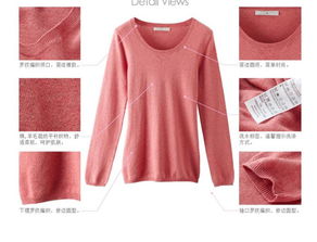 佐丹奴針織衫女裝簡潔雅致圓領(lǐng)長袖羊毛衣